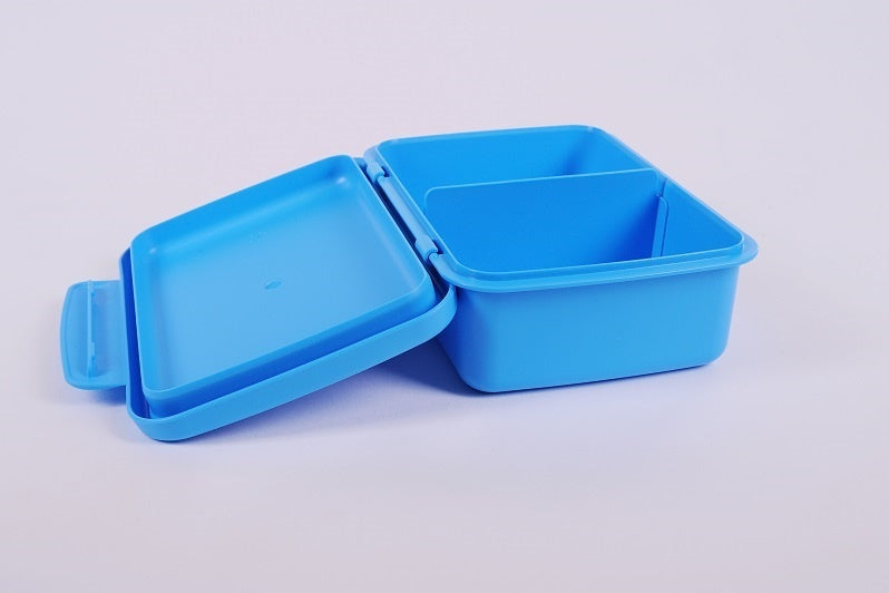 ZDRAVÁ LAHEV® Svačinový box Zdravá sváča RŮZNÉ BARVY