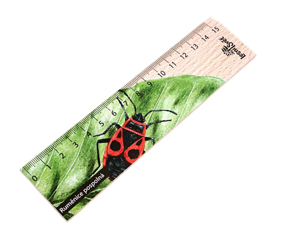 Lesní svět Dřevěné pravítko 15 cm