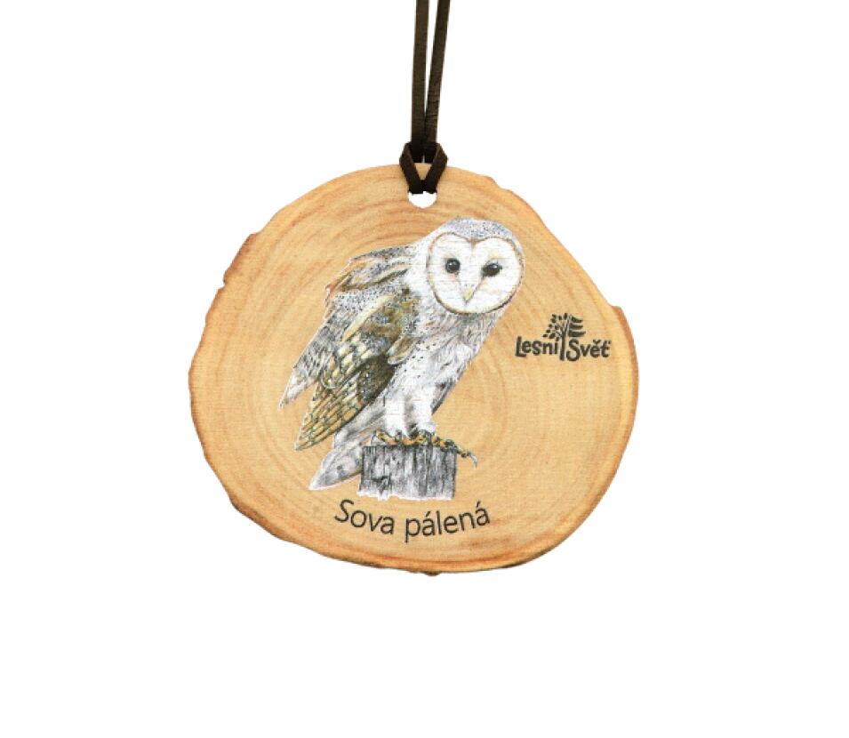 Lesní svět Dřevěná medaile letokruh