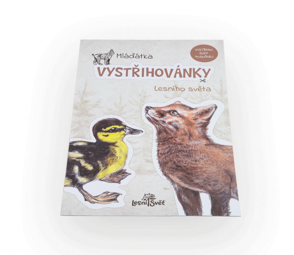 Lesní svět Vystřihovánky Lesní svět