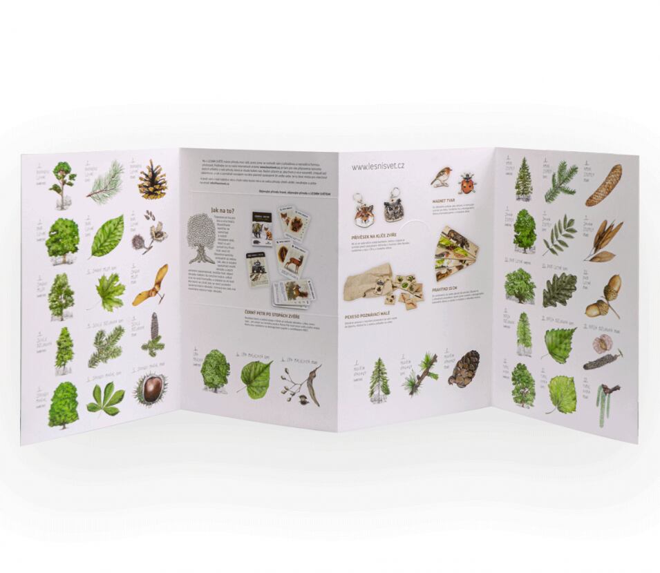 Lesní svět Papírové tripexeso Lesní svět