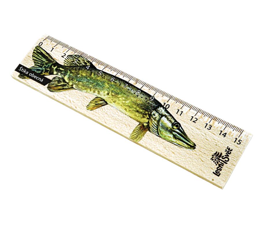 Lesní svět Dřevěné pravítko 15 cm