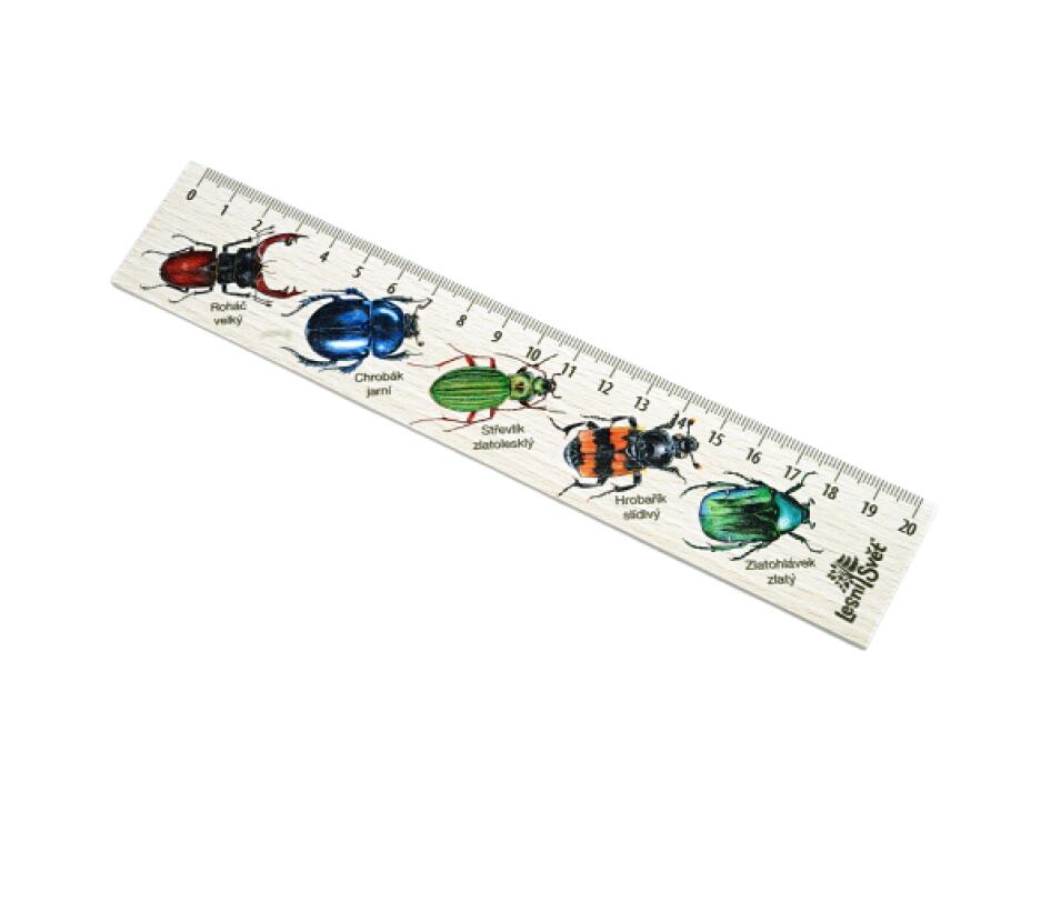 Lesní svět Dřevěné pravítko 20 cm