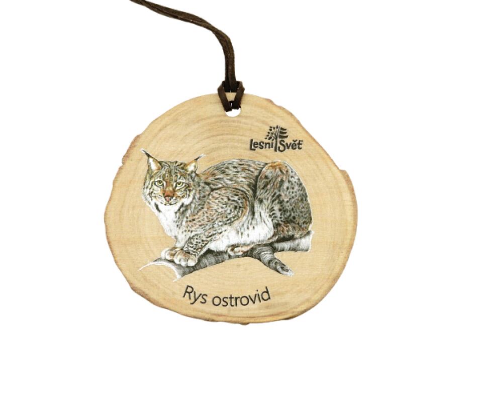 Lesní svět Dřevěná medaile letokruh