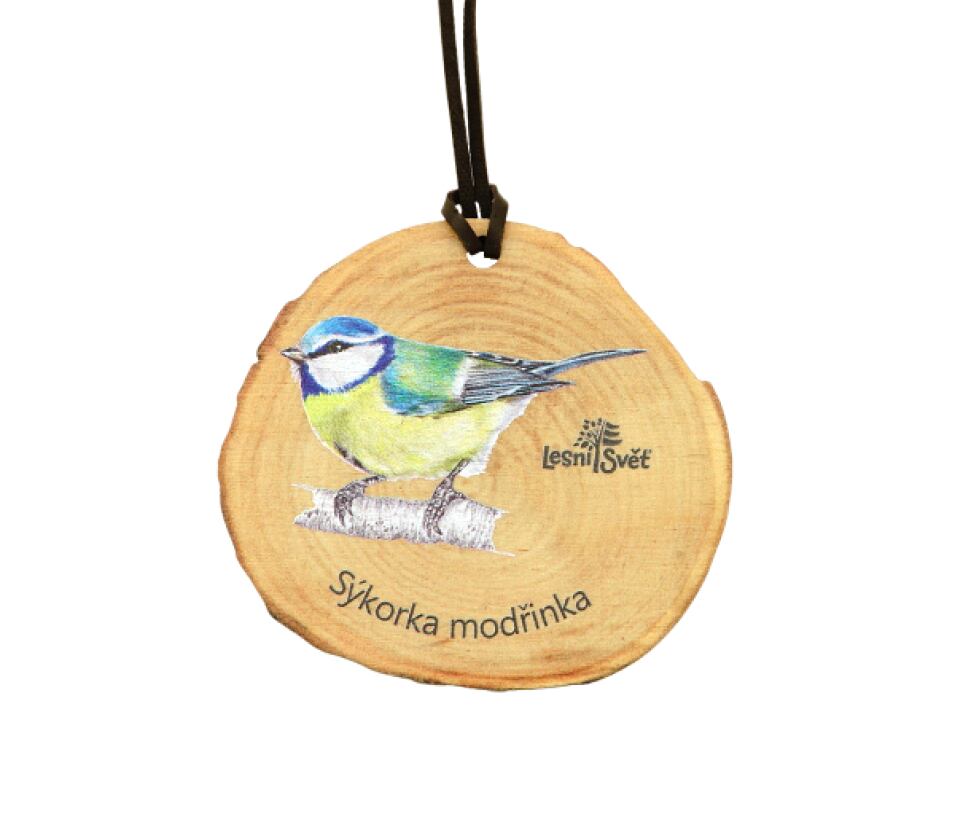 Lesní svět Dřevěná medaile letokruh