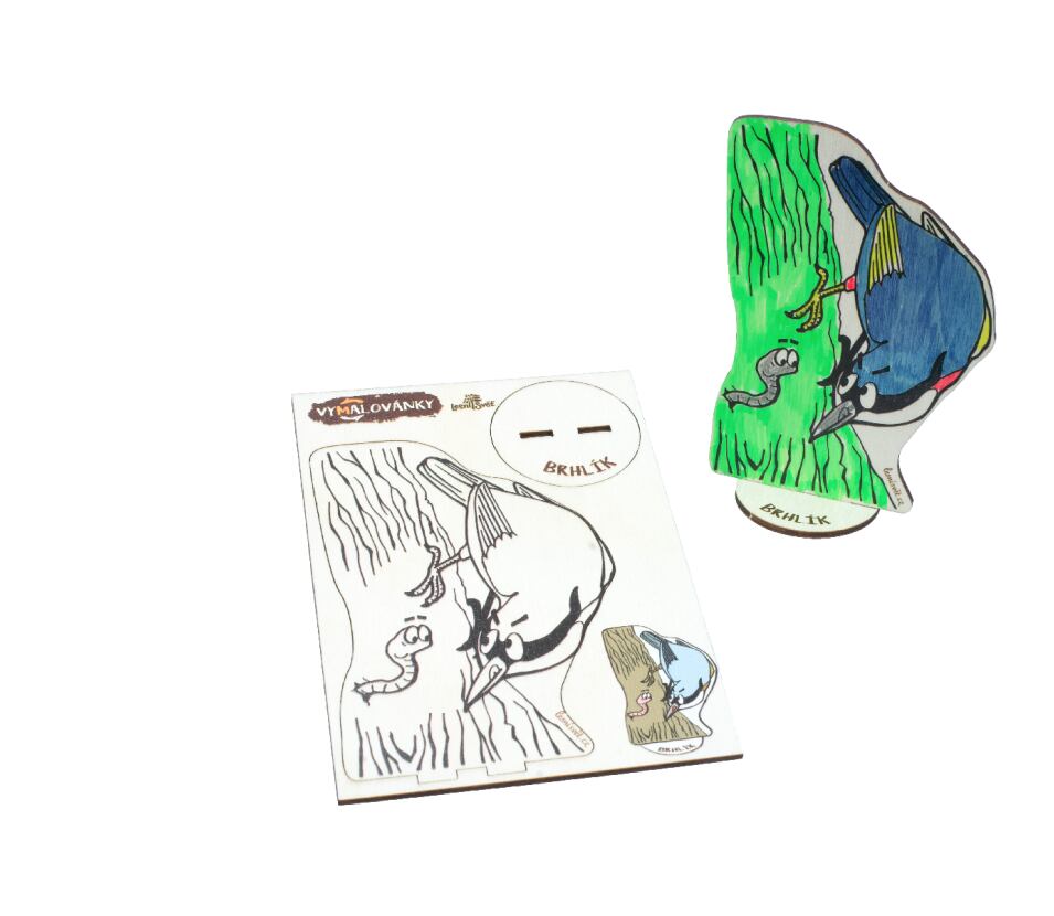 Lesní svět Dřevěné vymalovánky Lesní svět