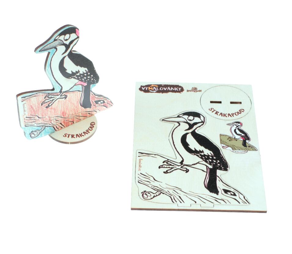 Lesní svět Dřevěné vymalovánky Lesní svět