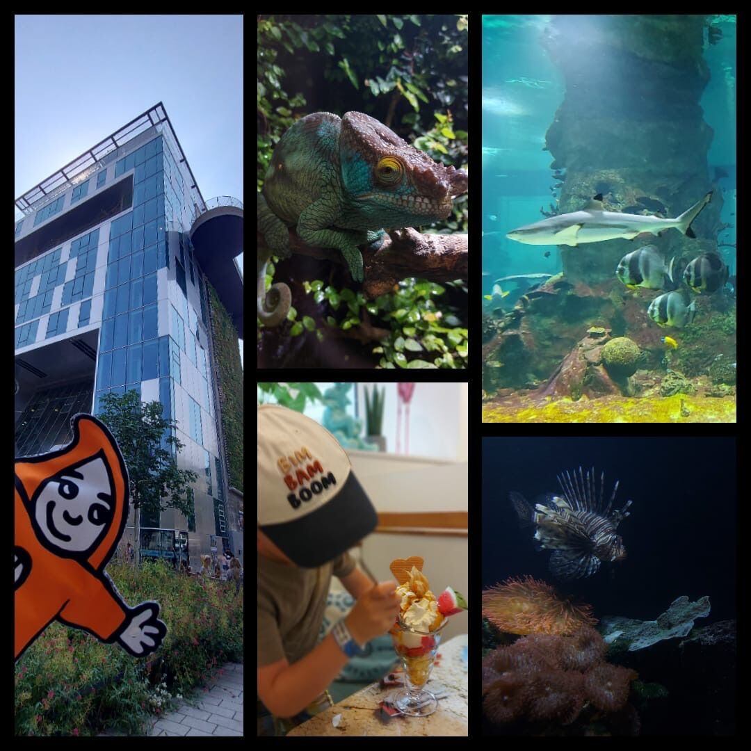 Promaledobrodruhy Maňásek malého dobrodruha Promaledobrodruhy.cz