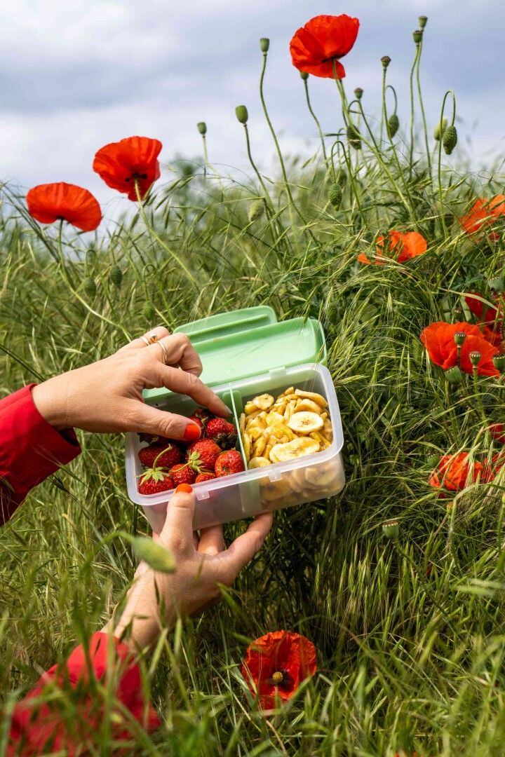 ZDRAVÁ LAHEV® SET ZDRAVÁ LAHEV A ZDRAVÁ SVÁČA svačinový box a lahev 0,7l Vlčí mák