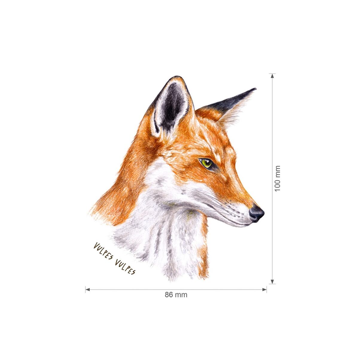 Lesní svět Nažehlovačka S - Lišky